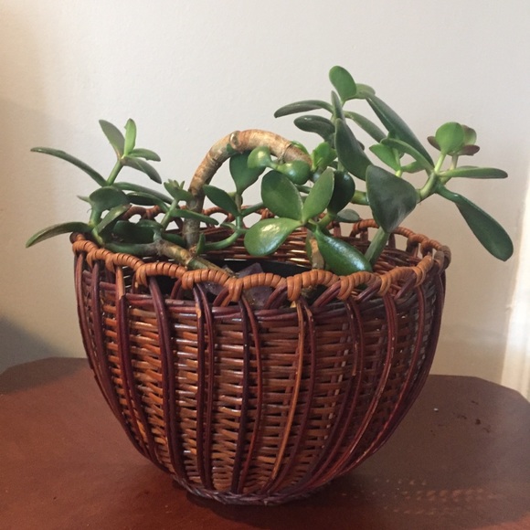 Set of 4 round nesting wicker baskets - Picture 8 of 8